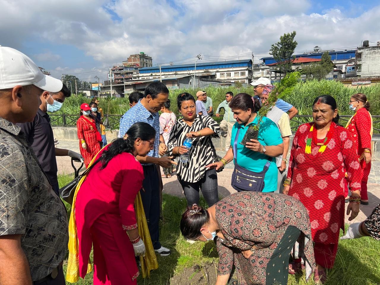 Tree Plantation